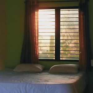 King Room Garden View